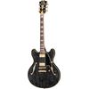 DAngelico Excel DC Black Dog