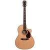 Larrivee Deluxe Series LV-10 Showroom