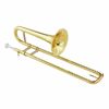 Carol Brass CTB-2005-YSS-Bb-L Slide Trp.