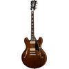 DAngelico Premier DC Boardwalk Walnut
