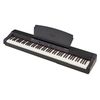 Alesis Prestige Artist