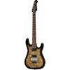 Harley Benton Fusion-III HH FR EB FCB