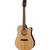 Framus FD 14 SV Dreadnought LS EQ