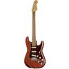 Fender Player Plus Strat Aged CAR