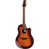 Ovation Celebrity Traditional CS24-1-G