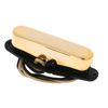 Suhr Classic T Neck GD