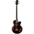 Epiphone Allen Woody Rumble Kat