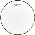 Aquarian 10" Classic Clear