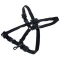 BG S42SH Strap Children