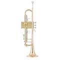B&S 3137 G-L Challenger I GM