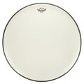 Remo 22" Ambassador White Smooth