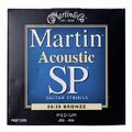 Martin Guitars MSP3200