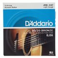Daddario EJ36