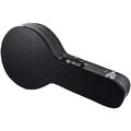 Thomann Mandola Case