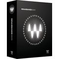 Waves Renaissance Maxx