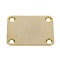 Harley Benton Parts HN001GD