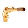 Selmer S- Neck Alto III Gold Plated