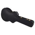 Ibanez AS-C