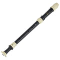 Thomann TRA-31B Alt Recorder