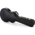 Ibanez AM-C