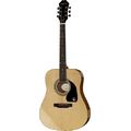 Epiphone DR-100 NT