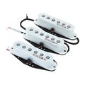 Kinman FV-HMS Hank Marvin Strat Set