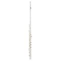 Muramatsu EX-III-RCE Flute