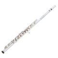 Muramatsu GX-CCE Flute