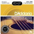 Daddario EXP19