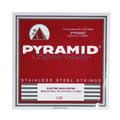 Pyramid 045 Single String bass guitar