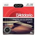 Daddario EXP77