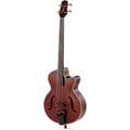 Takamine TB10