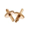 Dictum Height Adjustment Screws Brass