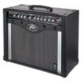Peavey Envoy 110 New