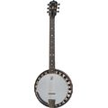 Deering B6 Boston 6 string Banjo