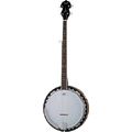 Dean Guitars Backwoods 3 Banjo 5-String