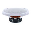 Visaton FRS 10 WP 4 Ohms WH