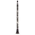 Buffet Crampon R13 Bb-Clarinet 18/5
