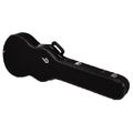 Duesenberg DBB - Bass Case