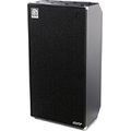Ampeg Heritage SVT810E