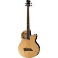 Warwick Alien Standard