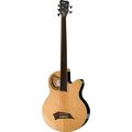 Warwick Alien Standard Fretless 5