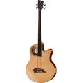 Warwick Alien Deluxe FL