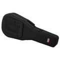 Gator Foam Case Classic