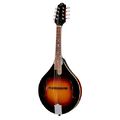 The Loar LM-220-VS