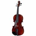 Roth & Junius RJV-S Student Violin Set 3/4