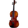 Roth & Junius RJVAE 13" Student Viola Set