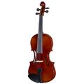 Stagg VN-4/4 EF Violin Set