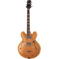 Peerless Guitars Songbird NA