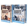 Toontrack SDX Roots-Bundle